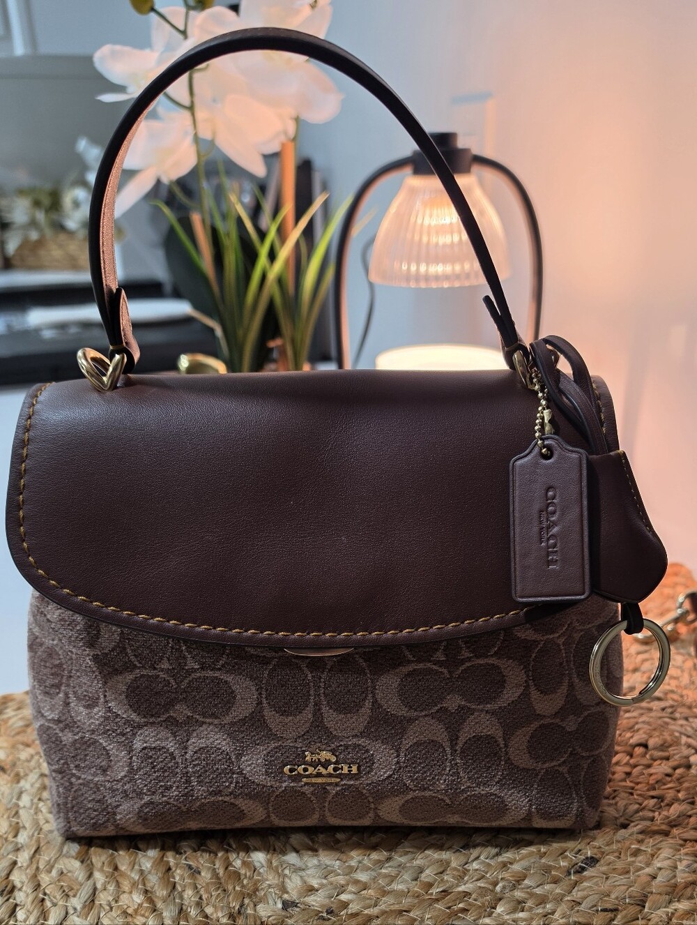 COACH Signature Canvas and Leather Top-Handle Bag in Brown
